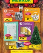 Merkur katalog do 31.12.