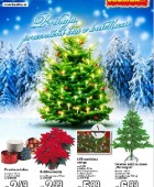 Baumax katalog december 2014