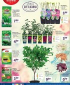 Lidl katalog neživila do 22. 03.