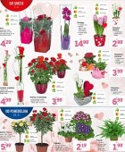Lidl katalog neživila od 07. 02. in od 12. 02.