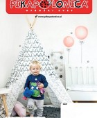 Pikapolonica katalog do 31. 08.