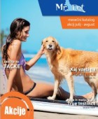 Mr Pet katalog do 31. 08.