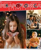 Pikapolonica katalog do 31. 12.