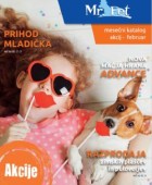 Mr Pet katalog februar 2020