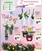 Lidl katalog neživila do 29. 3.