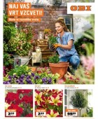 OBI katalog Naj vaš vrt vzcveti