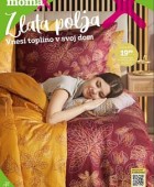 Momax katalog Zlata polja do 9. 10.