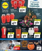 Lidl katalog neživila do 23. 10.