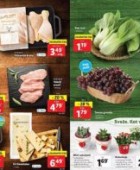 Lidl akcija Sveže za začetek tedna do 8. 3.