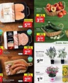 Lidl akcija Sveže za začetek tedna do 15. 3.