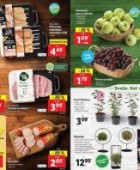 Lidl akcija Sveže za začetek tedna do 29. 3.