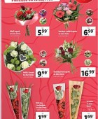 Lidl katalog neživila do 19. 3.