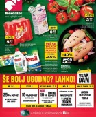 Mercator katalog do 31.5.