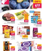 Mercator katalog do 20.8.