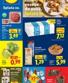 Lidl katalog živila do 28.10.