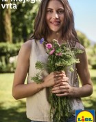 Lidl katalog Zgodbe iz mojega vrta