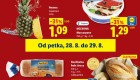 Lidl vikend akcija do 29.8.