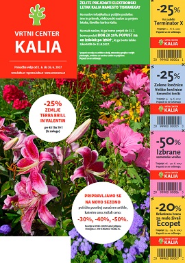 Kalia katalog junij 2017