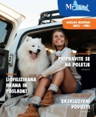 Mr. Pet katalog junij 2024