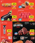 Hofer vikend akcija do 20.7.