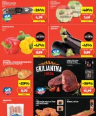 Hofer vikend akcija do 10.8.
