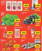 Hofer vikend akcija do 12.10.