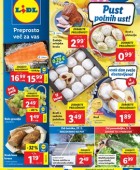 Lidl katalog do 5.3.