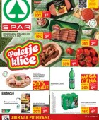 Spar in Interspar katalog do 6.5.
