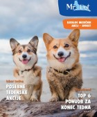 Mr.Pet katalog avgust 2025