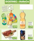 Tuš katalog Gostinec do 6.3.