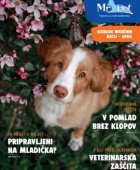Mr.Pet katalog april 2026