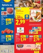 Lidl katalog živila do 17.6.