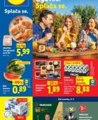 Lidl katalog živila do 15.7.