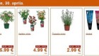 Lidl akcija cvetja od srede