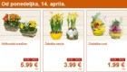 Lidl akcija cvetja v trgovinah Lidl