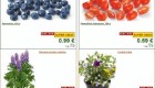 Lidl akcija od ponedeljka do srede