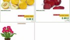 Lidl akcija od ponedeljka do srede