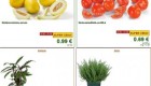Lidl akcija od ponedeljka do srede