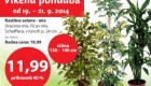Kalia vikend ponudba