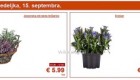 Lidl akcija od ponedeljka do srede