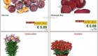 Lidl akcija od ponedeljka do srede
