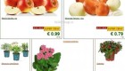 Lidl akcija od ponedeljka do srede