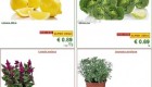 Lidl akcija od ponedeljka do srede