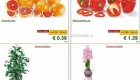 Lidl akcija od ponedeljka do srede
