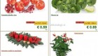 Lidl akcija od ponedeljka do srede