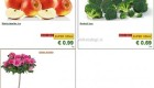 Lidl akcija od ponedeljka do srede