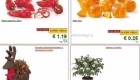 Lidl akcija od ponedeljka do srede