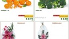 Lidl akcija od ponedeljka do srede 17. 12.