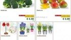 Lidl akcija od ponedeljka do srede 7. 1.
