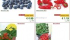 Lidl akcija od ponedeljka do srede 21. 1.